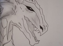  Art - Pencil Dragon