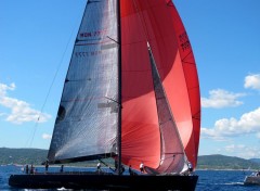  Bateaux Voiles de Saint Tropez