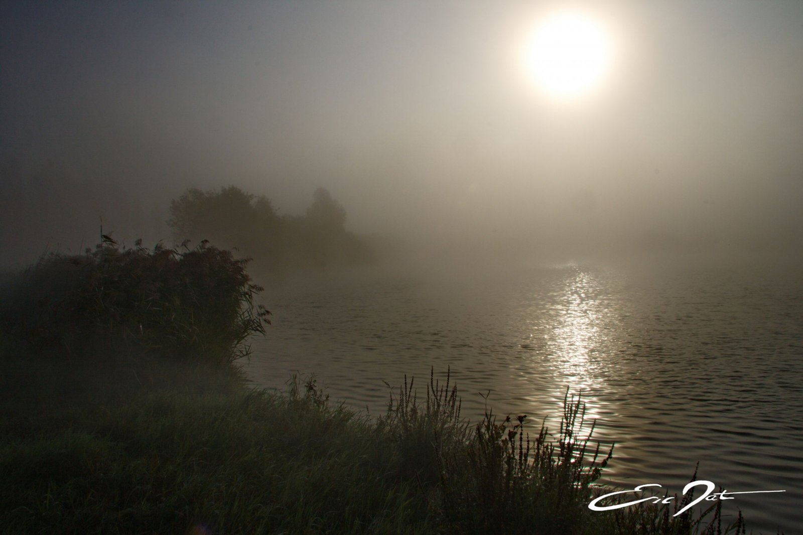 Wallpapers Nature Seasons - Fall la brume