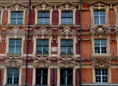  Constructions and architecture " LES FACADES" LILLE