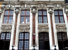  Constructions and architecture " LES FACADES" LILLE