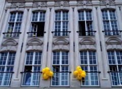  Constructions and architecture " LES FACADES" LILLE