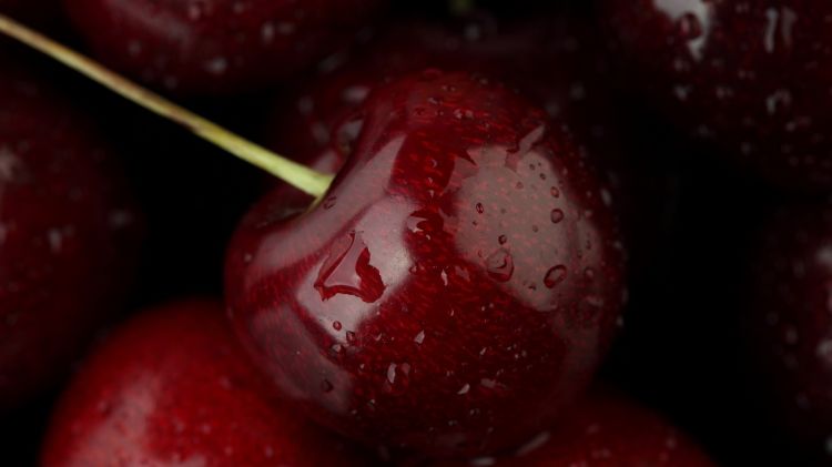 Wallpapers Nature Fruits Wallpaper N360425