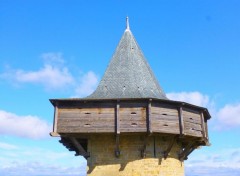  Voyages : Europe la cité médiévale de carcassone 