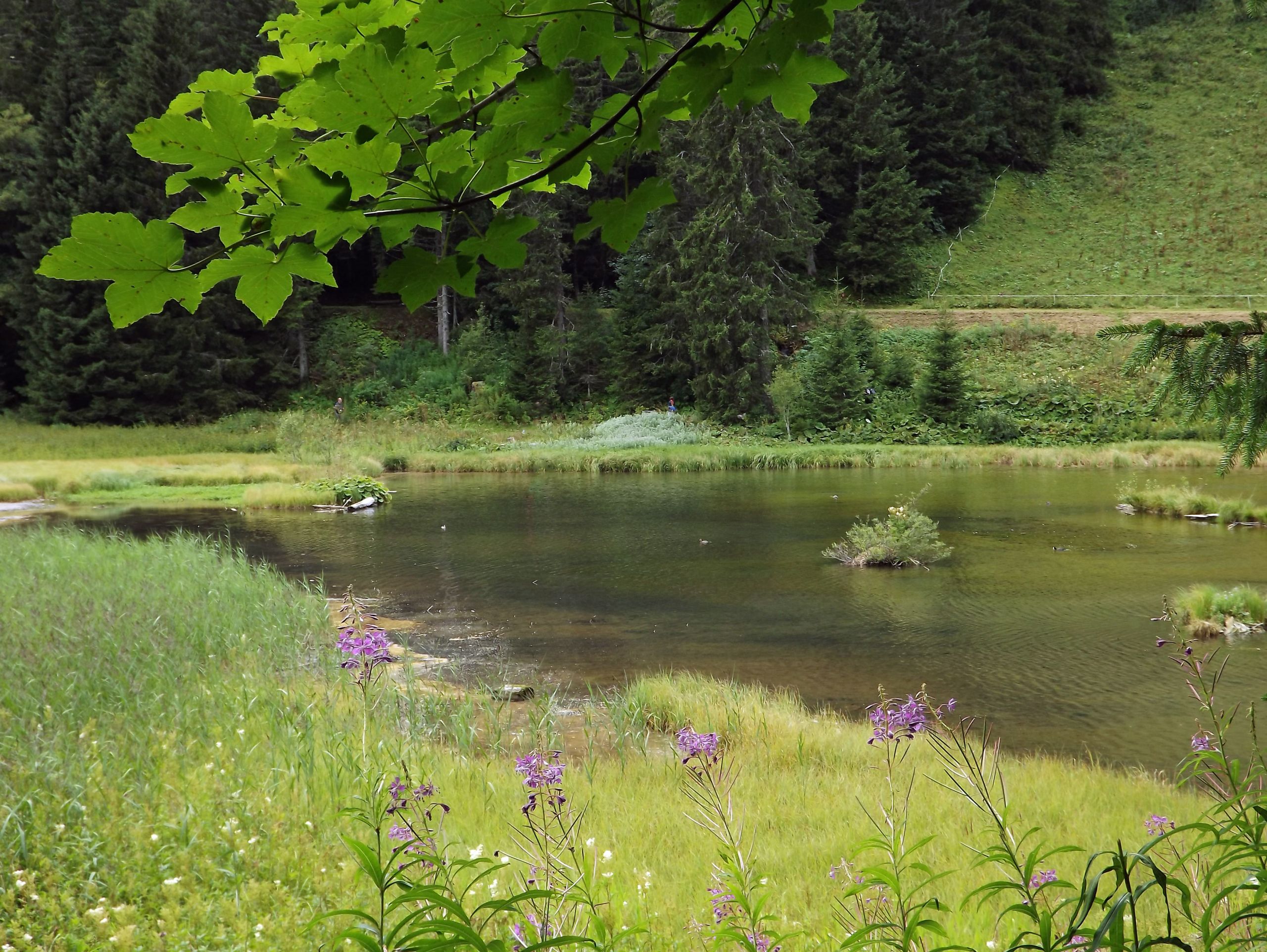 Fonds d'cran Nature Lacs - Etangs lac de Morgins (suisse)