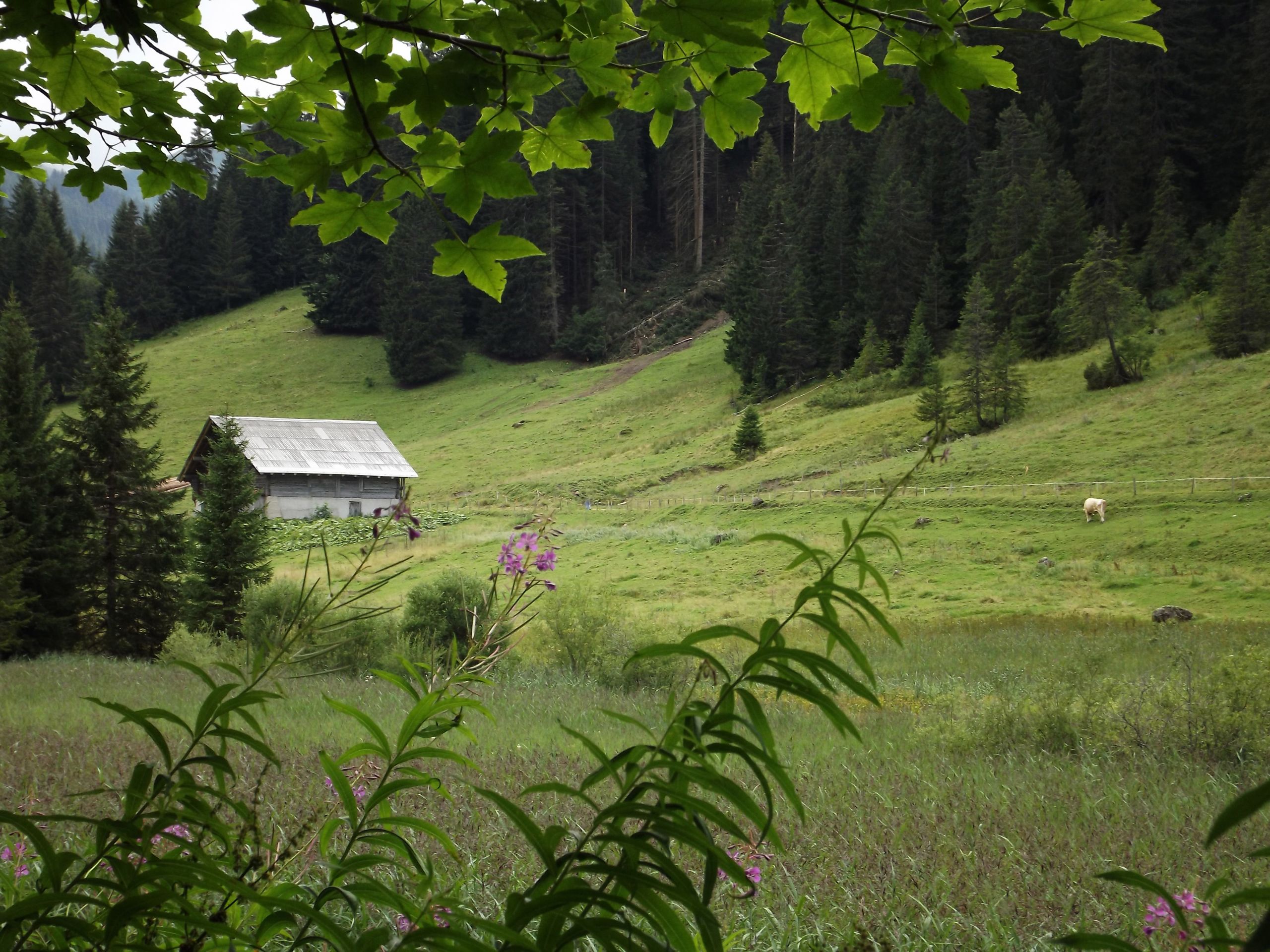 Fonds d'cran Nature Montagnes 