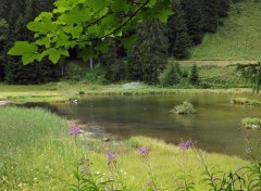  Nature lac de Morgins (suisse)