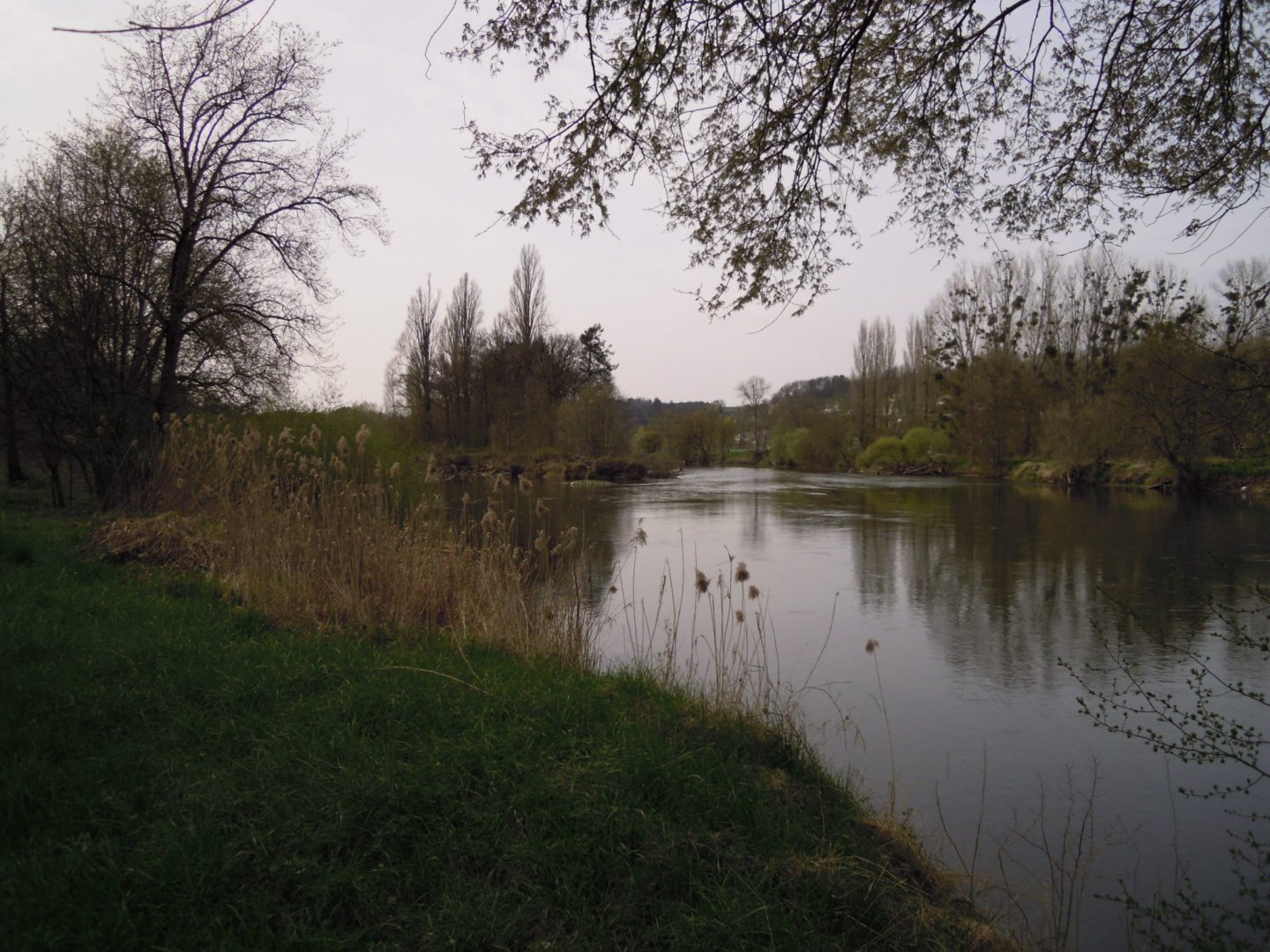 Fonds d'cran Nature Fleuves - Rivires - Torrents Le cher