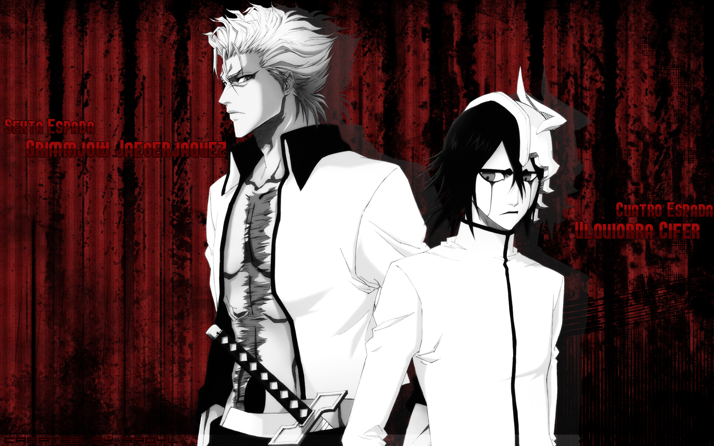 Fonds d'cran Manga Bleach 