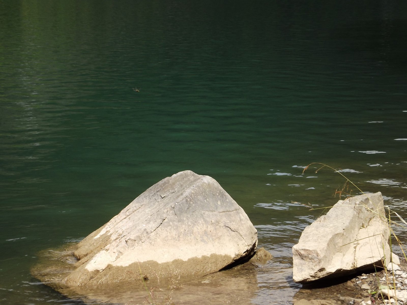 Fonds d'cran Nature Lacs - Etangs lac de montriond 