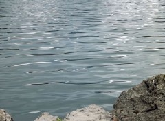  Nature lac de montriond 