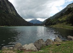  Nature lac de montriond 