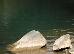  Nature lac de montriond 