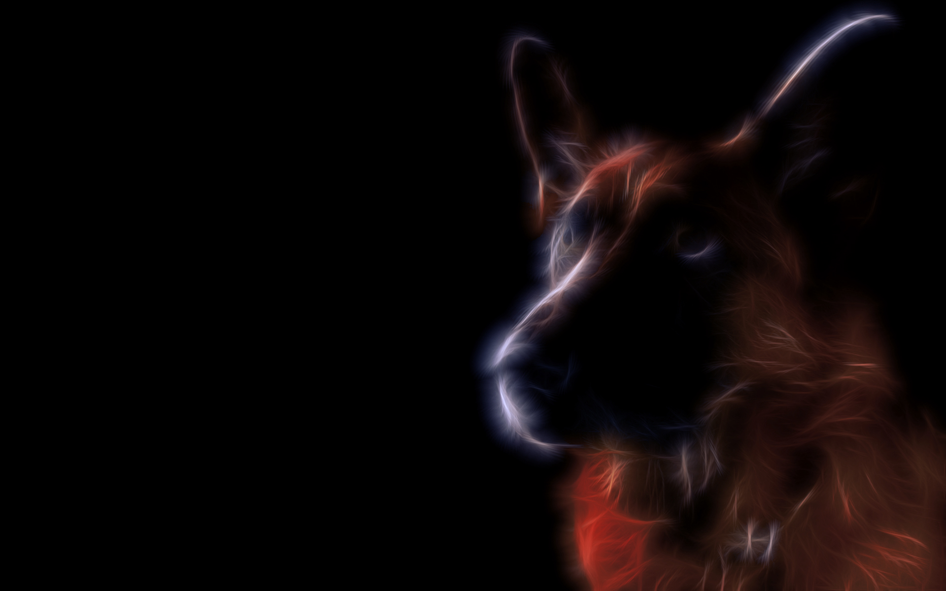 Wallpapers Digital Art Animals 