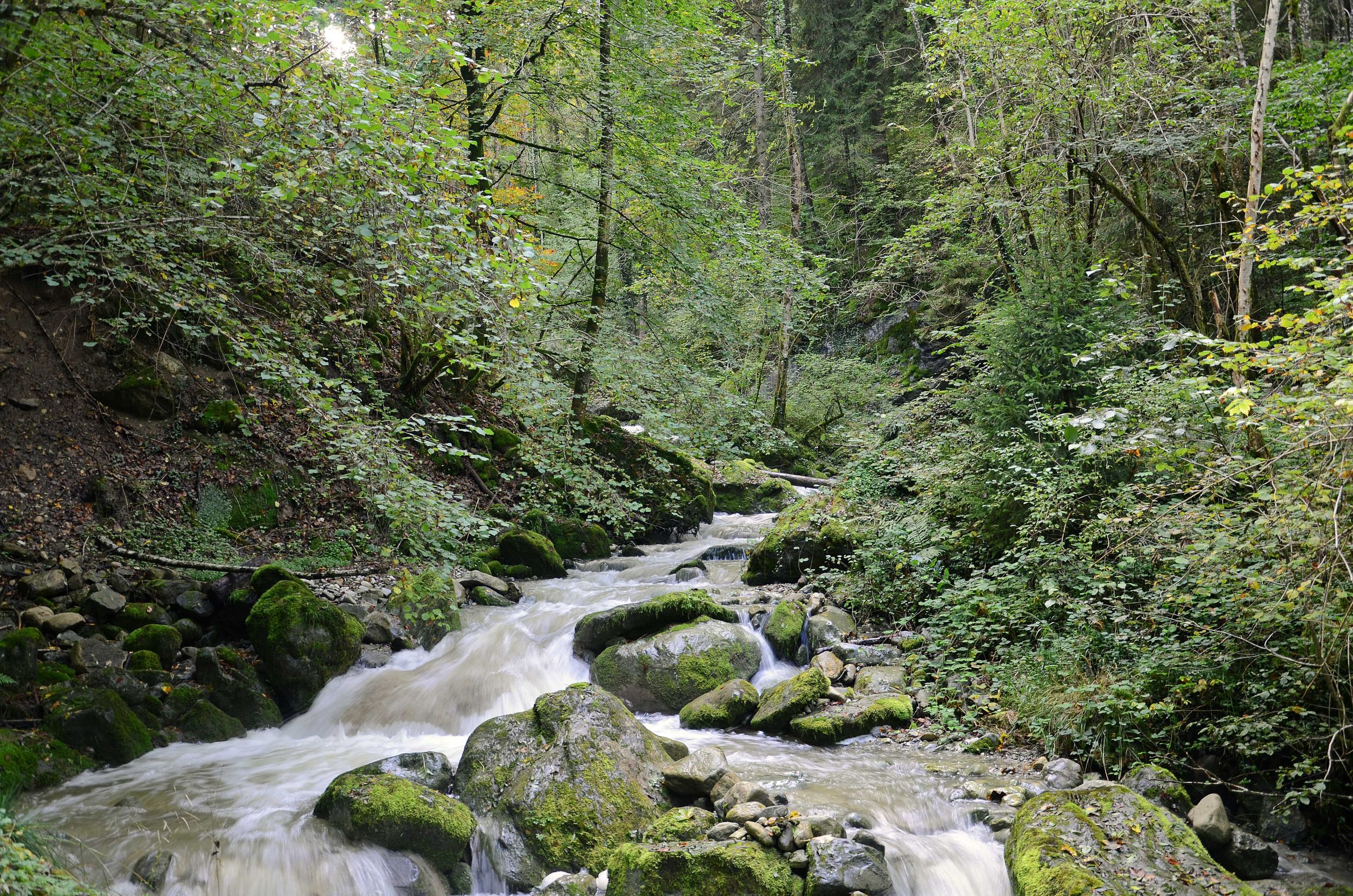 Fonds d'cran Nature Fleuves - Rivires - Torrents Rivire, drnire trace d'automne, des couleurs pleines d'motion.