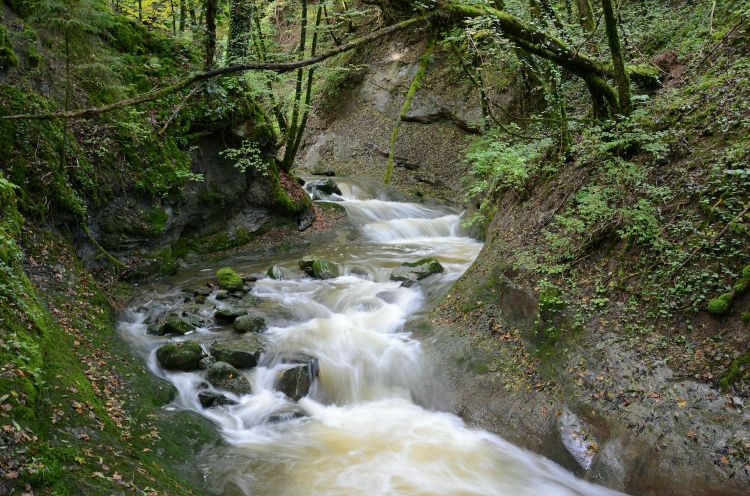 Wallpapers Nature Rivers - Torrents Rivire, drnire trace d'automne, des couleurs pleines d'motion.