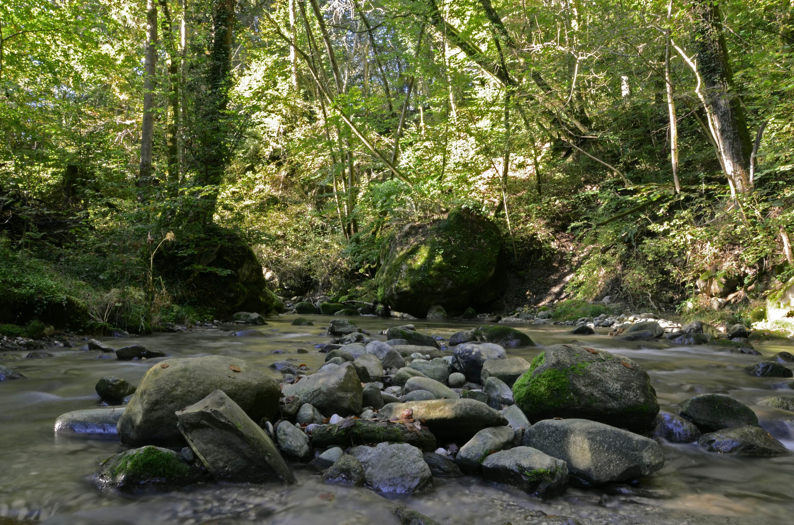 Fonds d'cran Nature Fleuves - Rivires - Torrents La rivire au petit matin