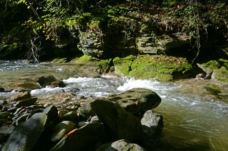 Wallpapers Nature Rivers - Torrents La rivire au petit matin