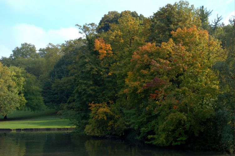 Fonds d'cran Nature Arbres - Forts PARCS ET JARDINS 