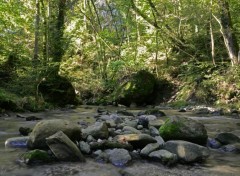  Nature La rivire au petit matin