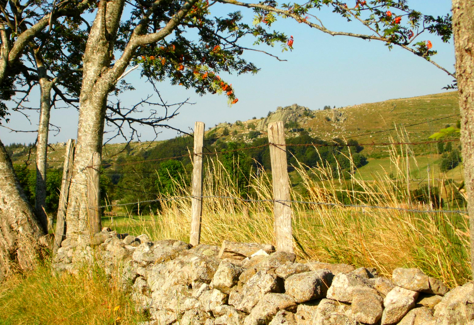 Fonds d'cran Nature Campagne Lozert