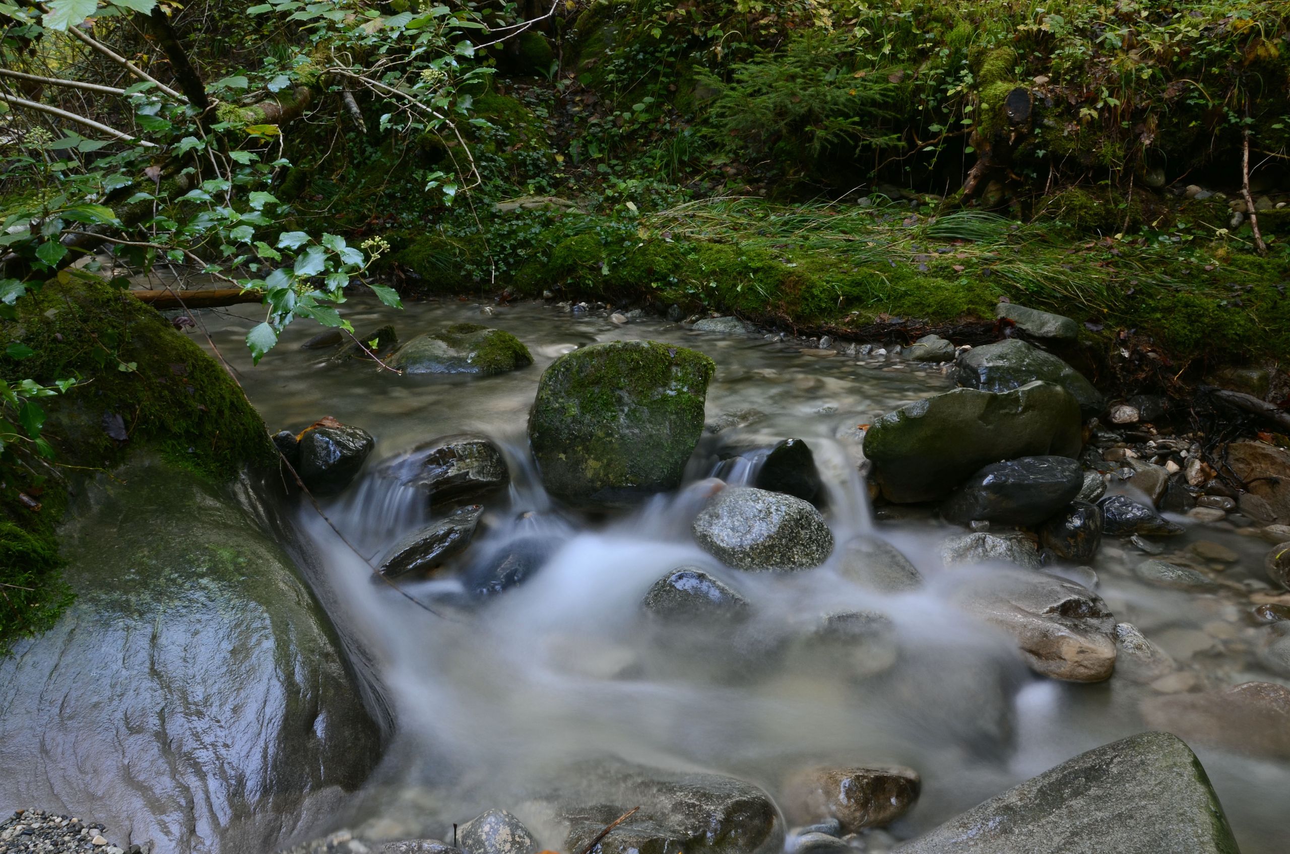 Fonds d'cran Nature Fleuves - Rivires - Torrents 