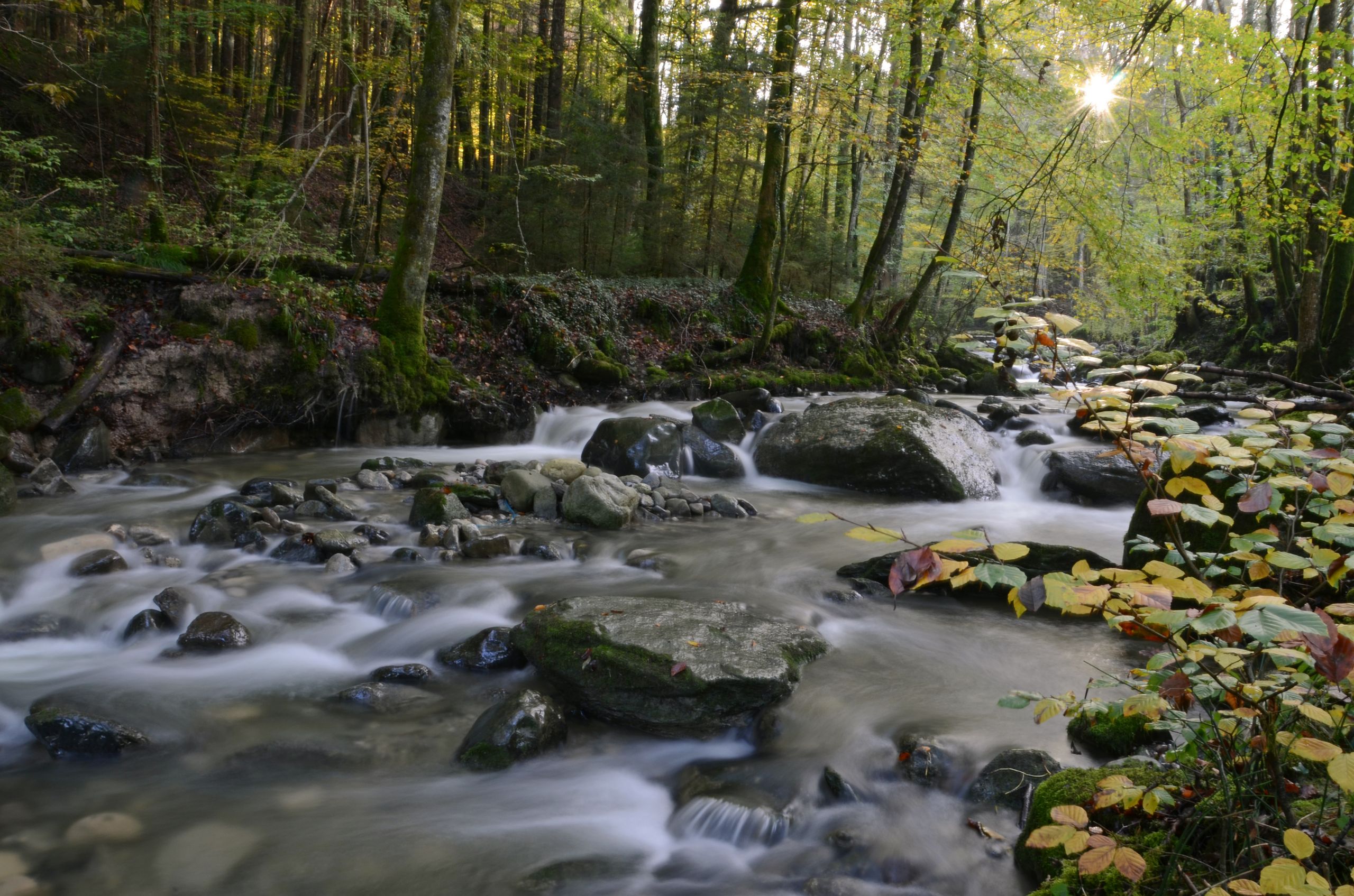 Fonds d'cran Nature Fleuves - Rivires - Torrents 