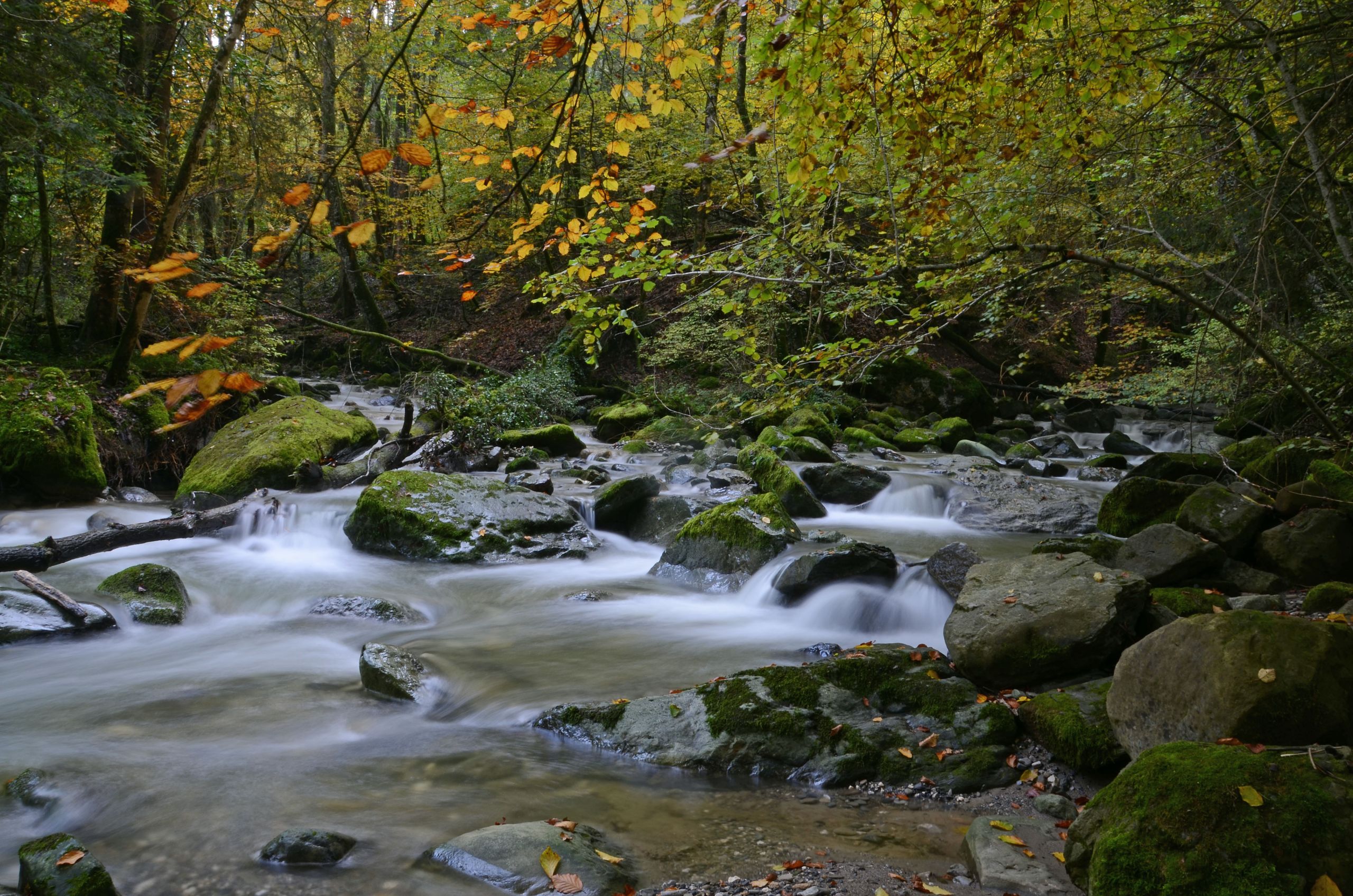 Wallpapers Nature Rivers - Torrents 