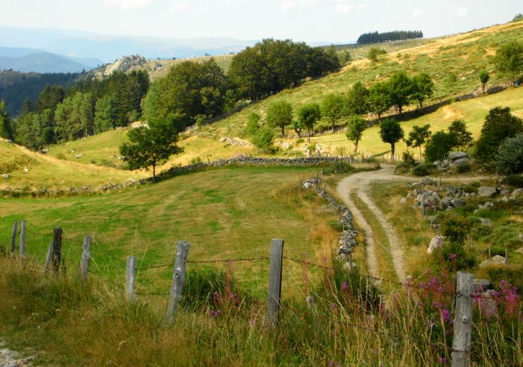 Fonds d'cran Nature Campagne Lozert