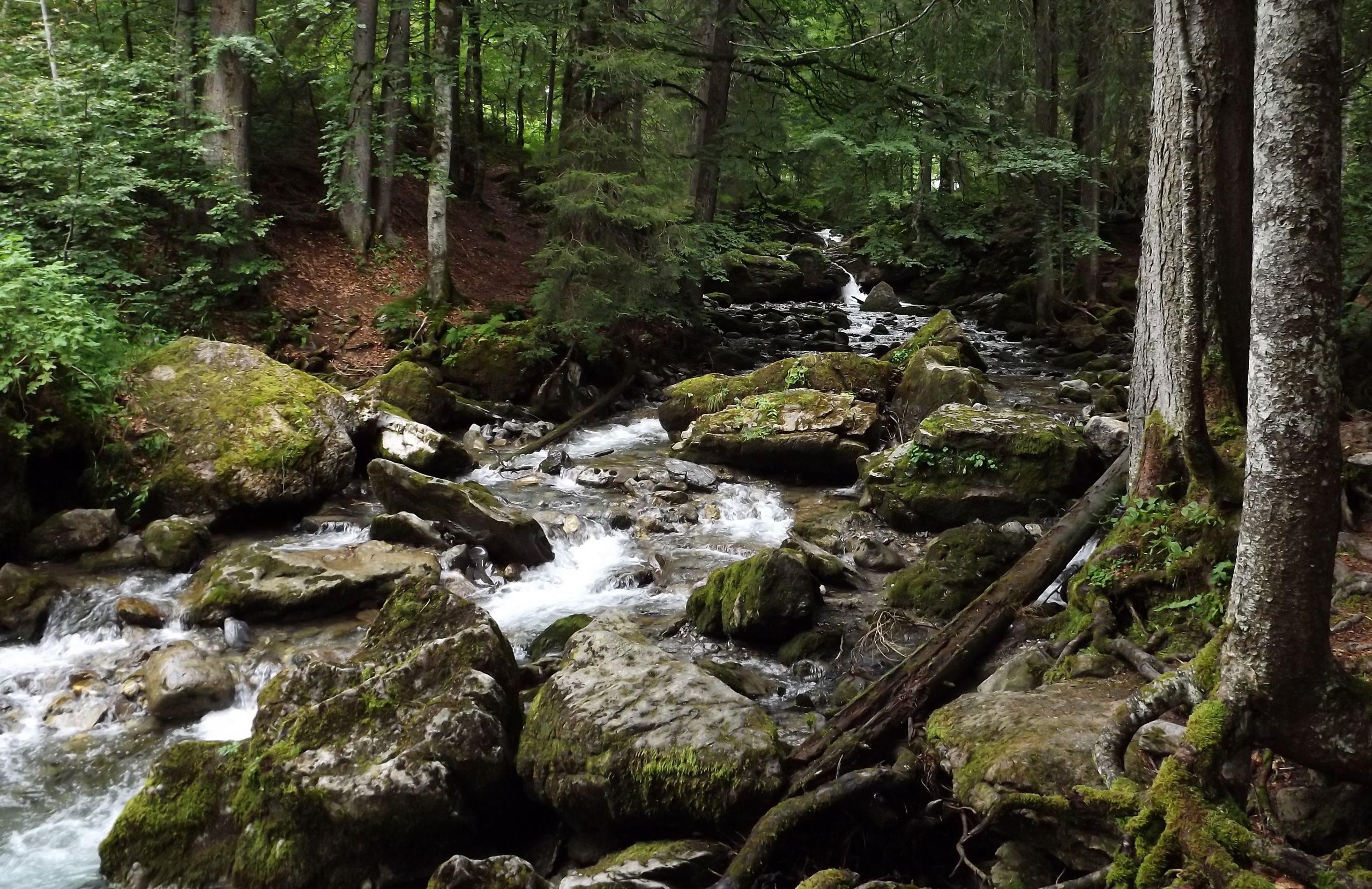 Fonds d'cran Nature Fleuves - Rivires - Torrents cascade d'ardent 