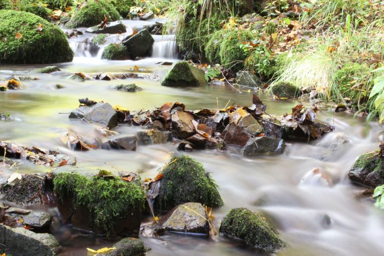 Fonds d'cran Nature Fleuves - Rivires - Torrents Kaltenbach