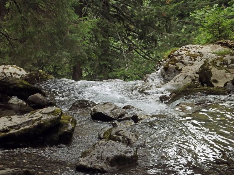 Fonds d'cran Nature Fleuves - Rivires - Torrents cascade d'ardent 