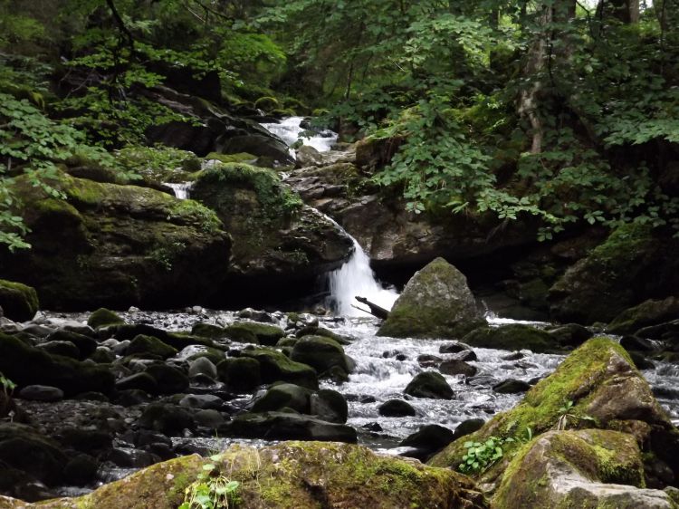 Fonds d'cran Nature Fleuves - Rivires - Torrents cascade d'ardent 