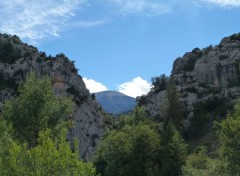  Nature Le Mt Ventoux depuis le col de Fontaube 