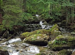  Nature cascade d'ardent 