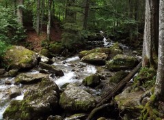  Nature cascade d'ardent 