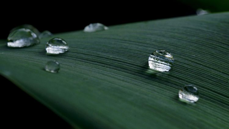 Wallpapers Nature Water - Drops Autogoute