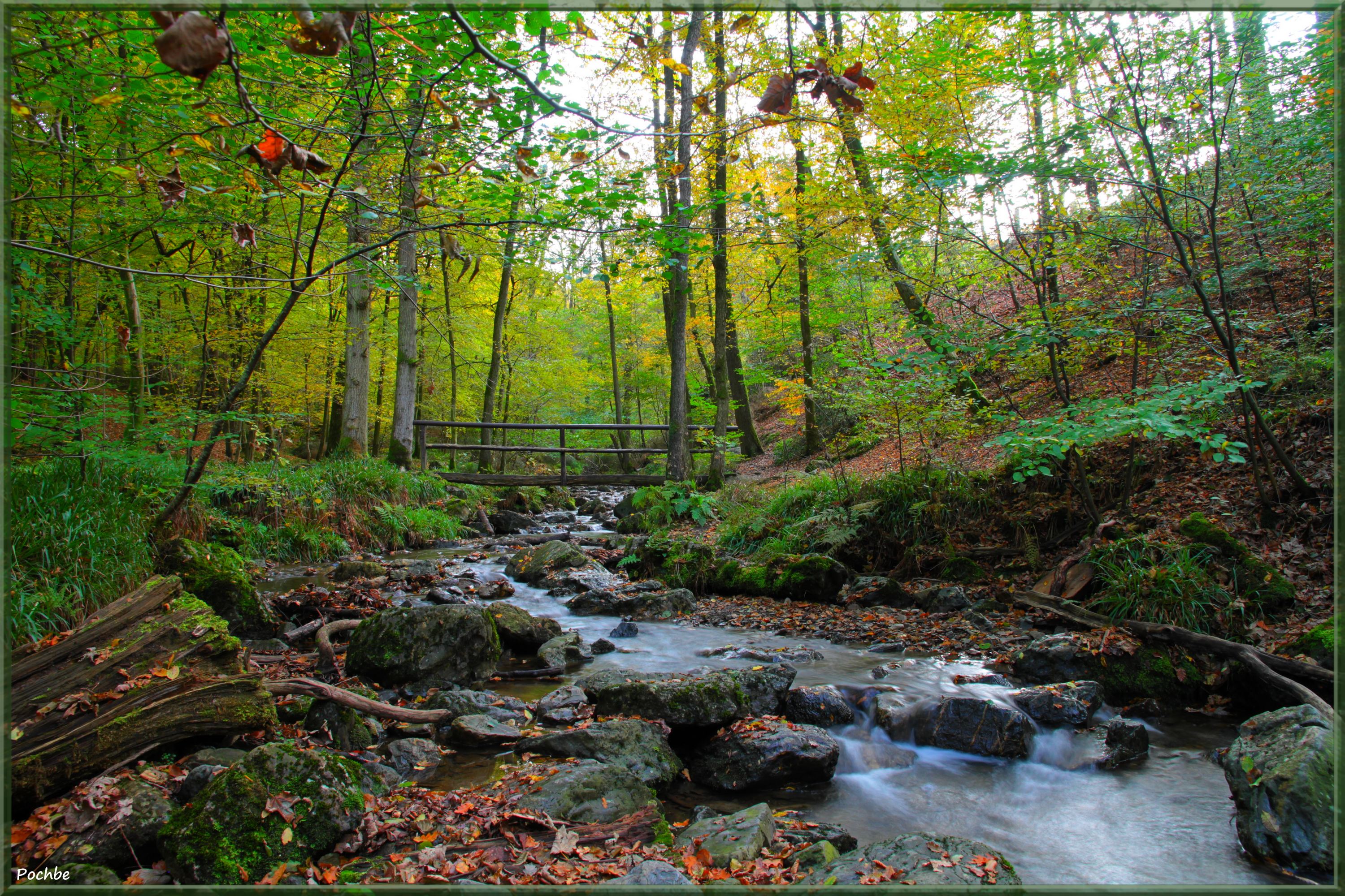 Wallpapers Nature Rivers - Torrents 