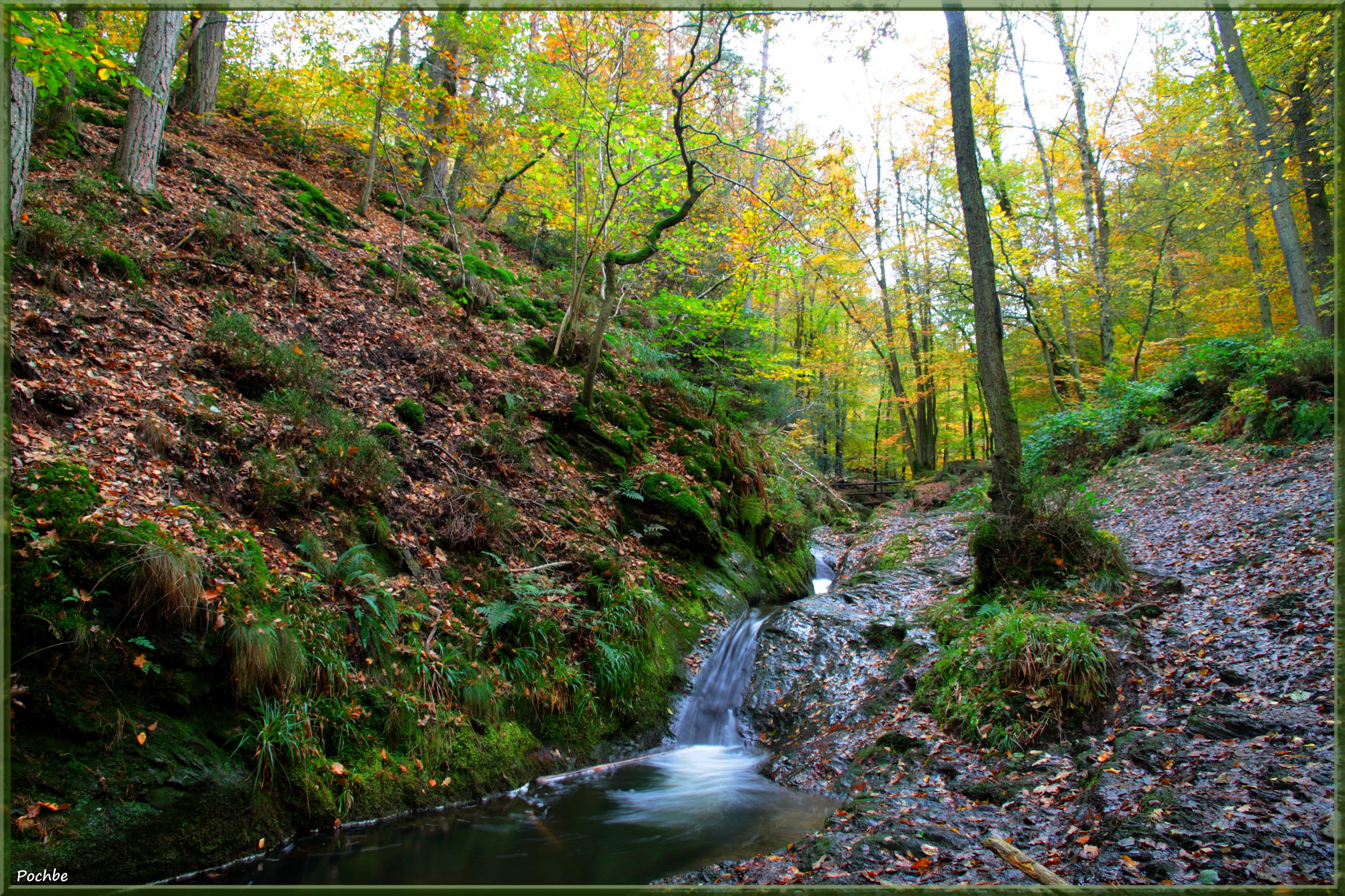 Wallpapers Nature Rivers - Torrents 