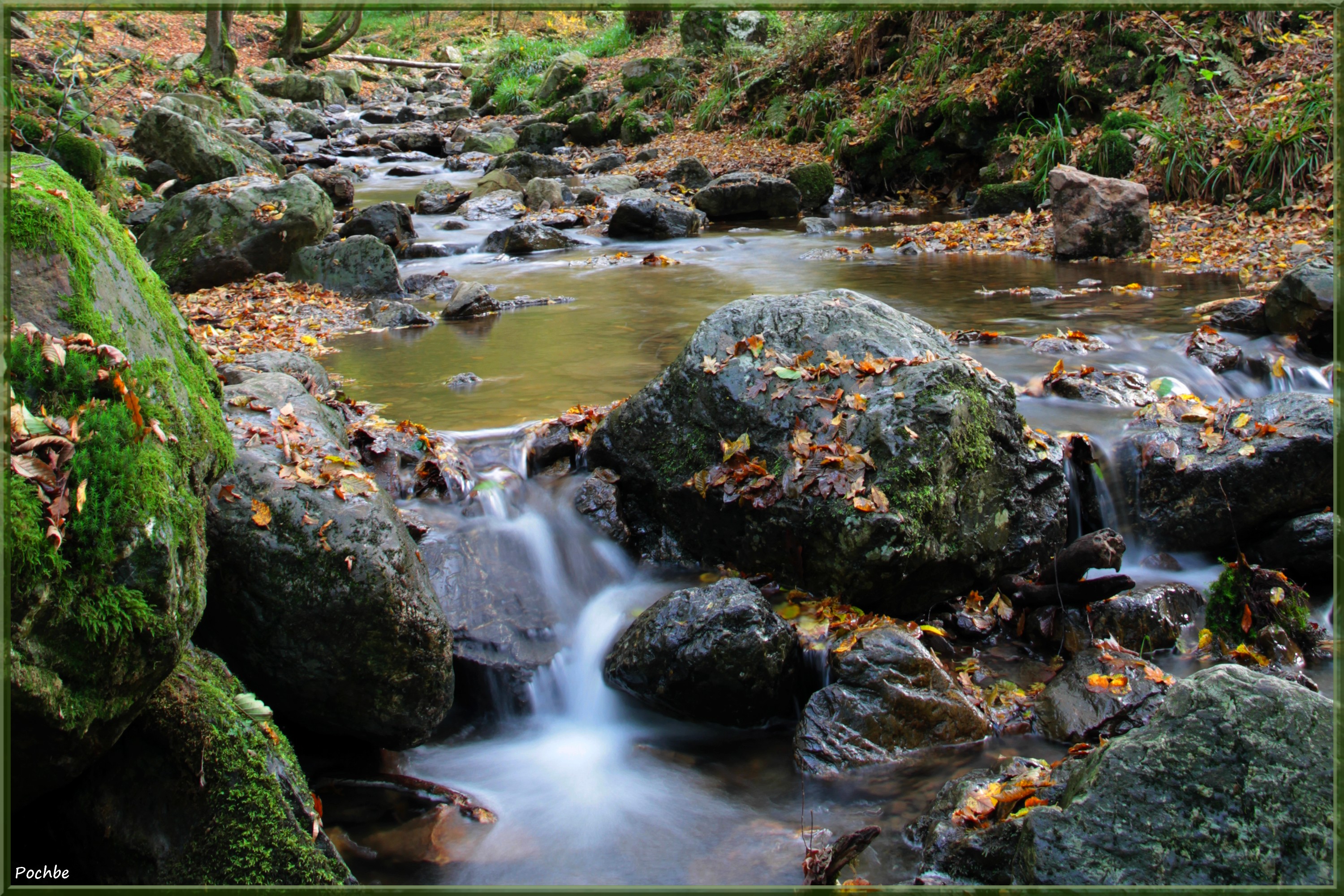 Fonds d'cran Nature Fleuves - Rivires - Torrents 