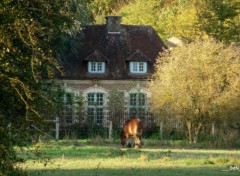 Fonds d'cran Nature PARCS ET JARDINS