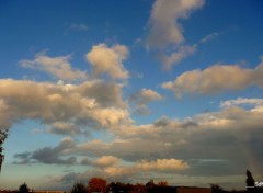  Nature CIELS (nord)