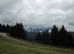  Nature vue sur avoriaz