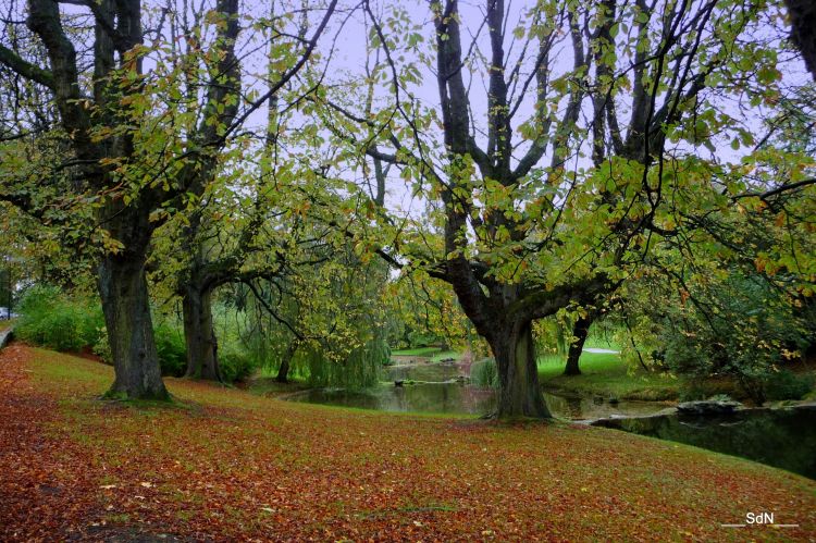 Fonds d'cran Nature Parcs - Jardins PARCS ET JARDINS