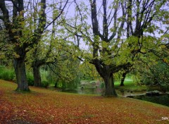  Nature PARCS ET JARDINS