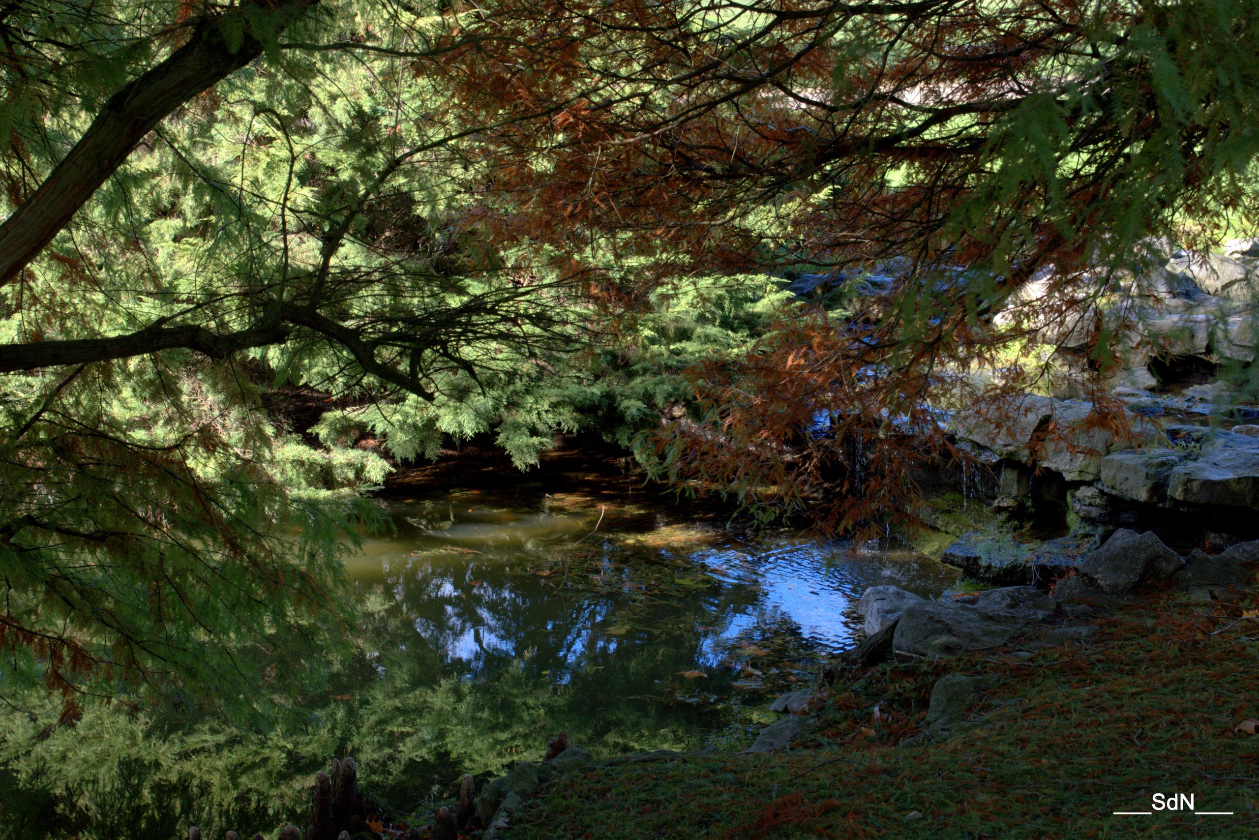 Fonds d'cran Nature Parcs - Jardins PARCS ET JARDINS