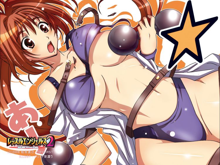 Fonds d'cran Manga Sexy Wallpaper N362057