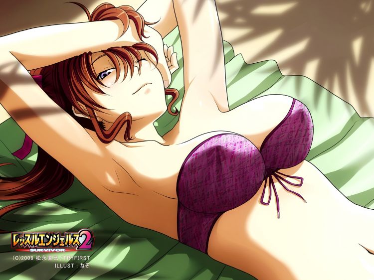 Fonds d'cran Manga Sexy Wallpaper N362058