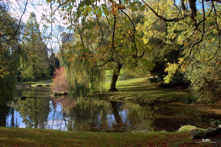 Fonds d'cran Nature Parcs - Jardins PARCS ET JARDINS