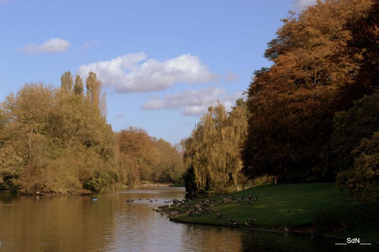 Fonds d'cran Nature Parcs - Jardins PARCS ET JARDINS